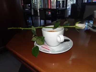 Виенска сладкарница Валка