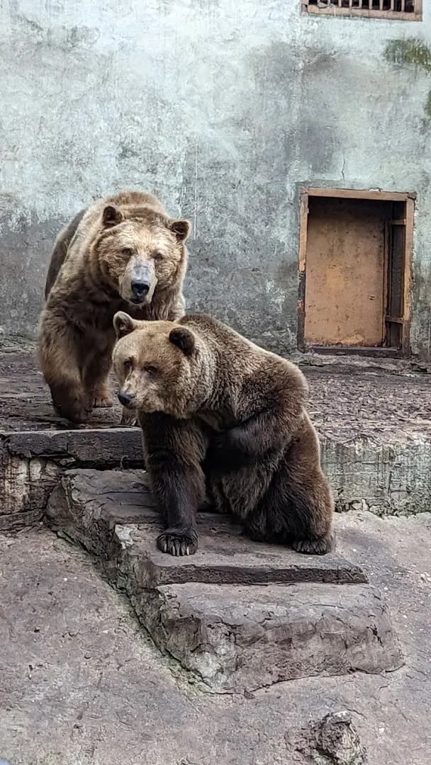 Парк Стратеш