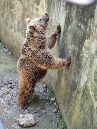 Парк Стратеш