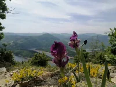 Туристически маршрут "Райски изглед"
