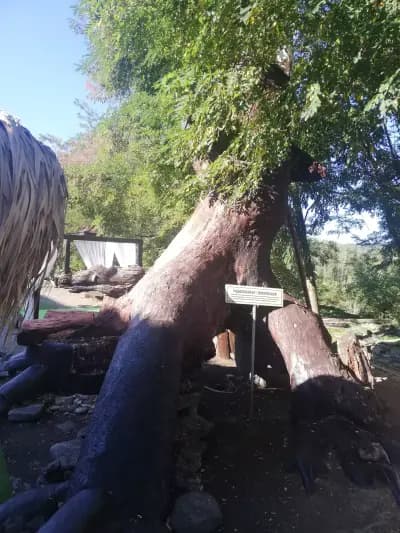 Хотелски Комплекс Планински Изглед