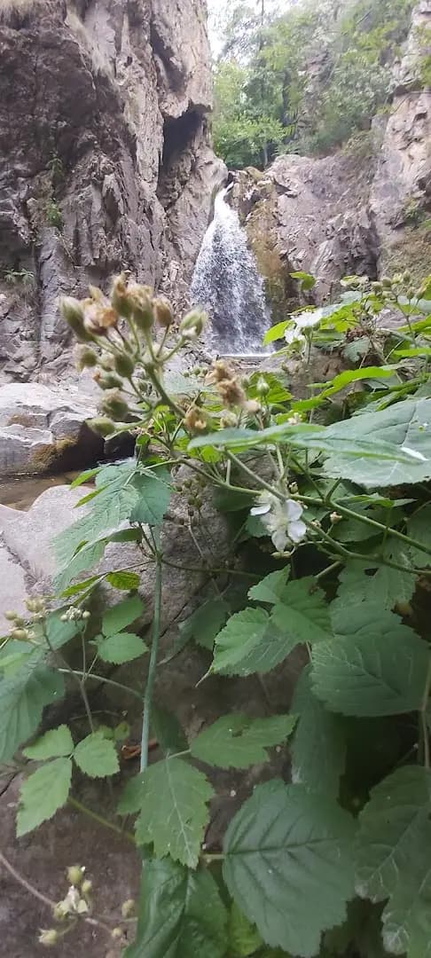 Водопад Голям скок (Мъглиж)