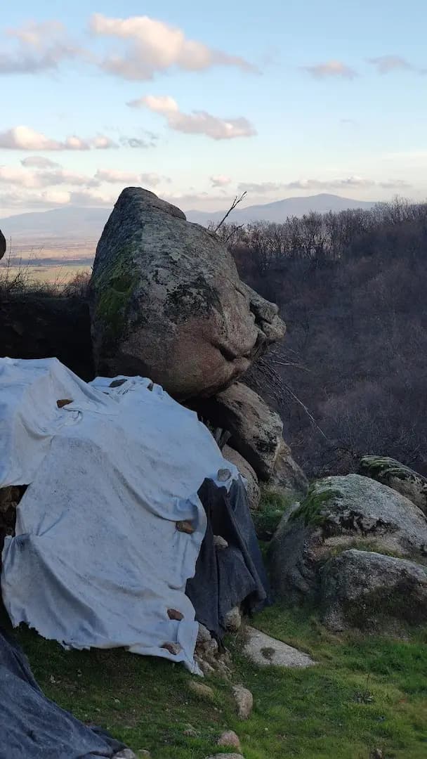 Бузова крепост