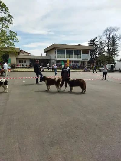 Кметство Локорско