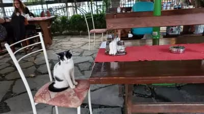 Ресторант Лятна градина
