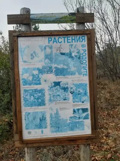 Връх „Кутра“