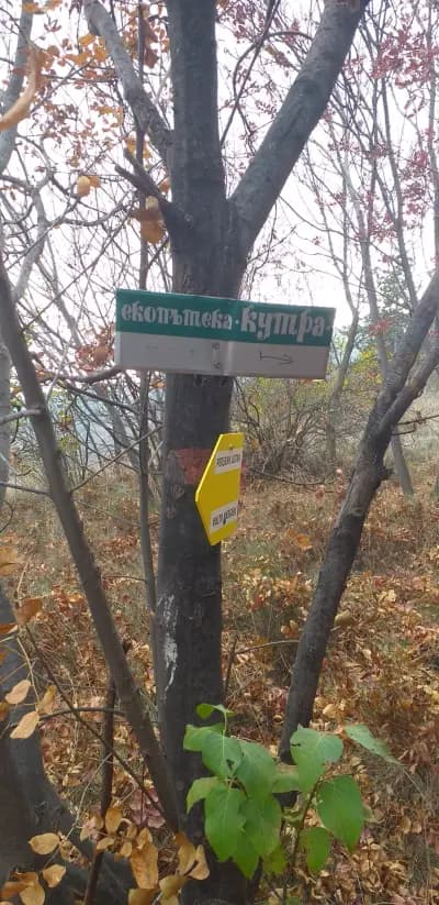 Връх „Кутра“