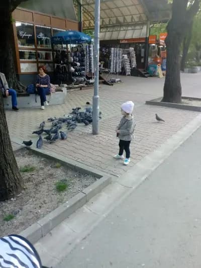КООП маркет
