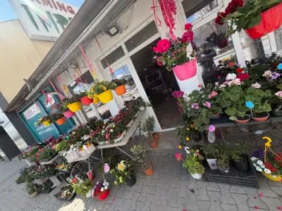 Магазин за цветя и сувенири"ОМАЙНИЧЕ"