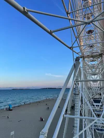 The Wheel