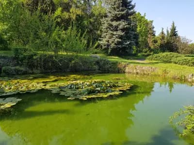 Парк „Пеньо Пенев“