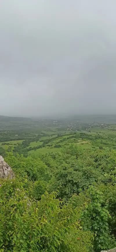 Шарапани