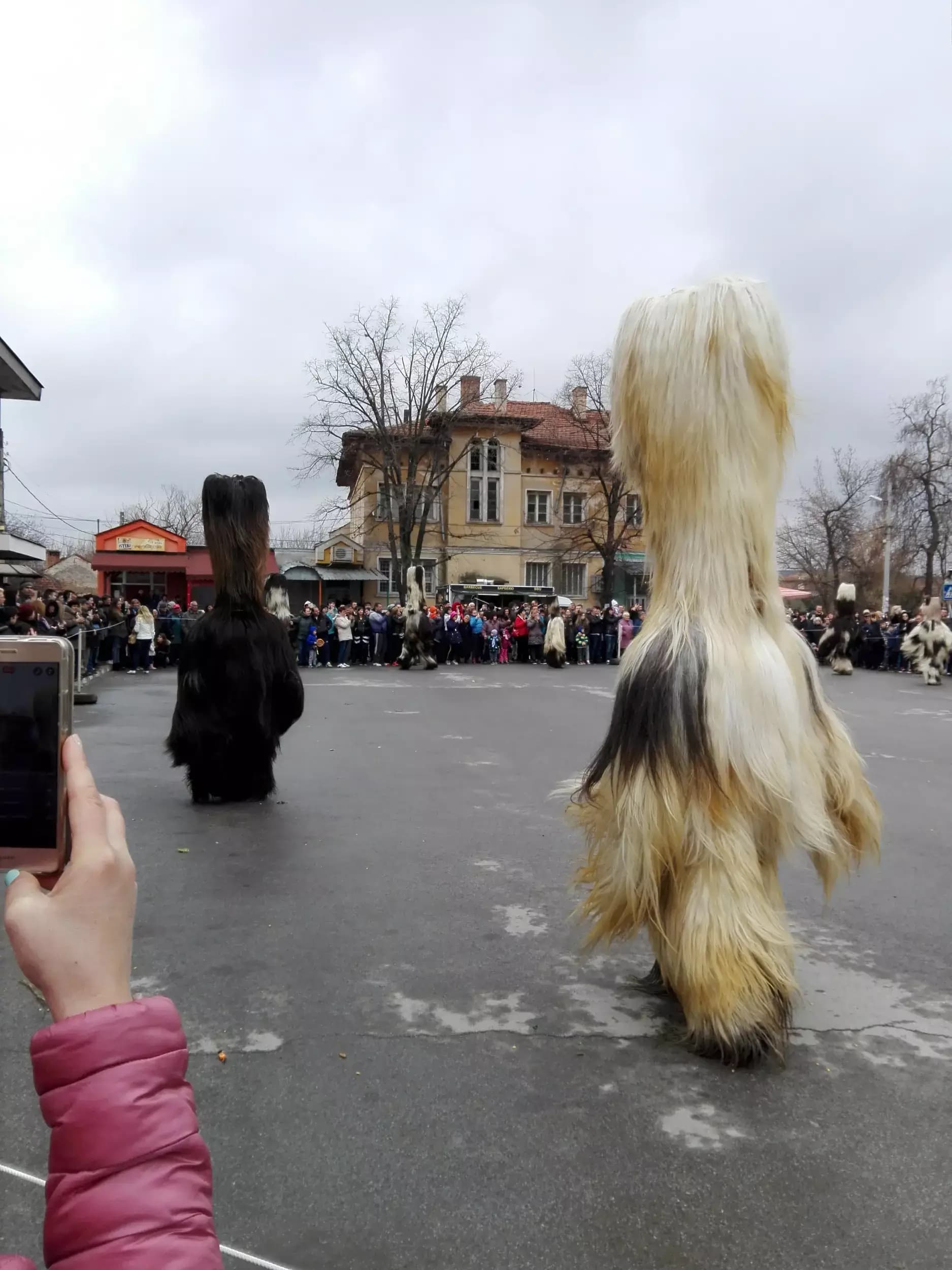 Кафе-бар и „Галерия на виното”