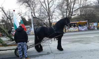 Кафе-бар и „Галерия на виното”