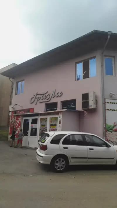 Гризли