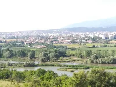 Света Неделя