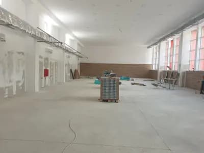 Зала Асеновец