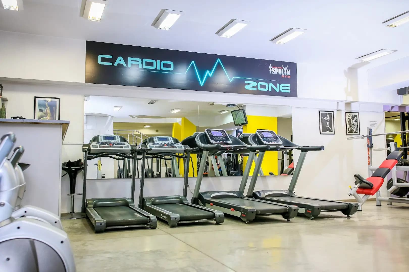 Ispolin Fitness - Фитнес зала "Исполин"