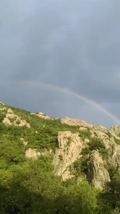Ресторант "Бамбуците"