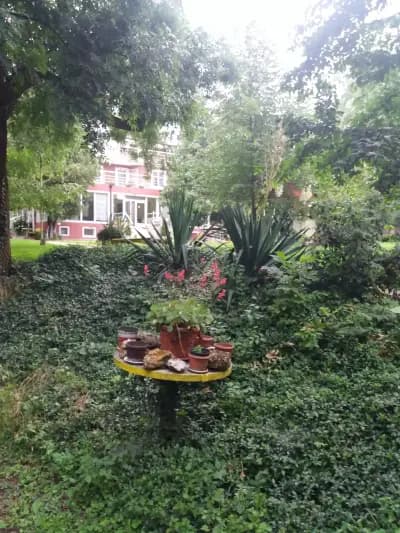 Хотел „Флоранс“