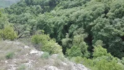 Водопад "Картала"