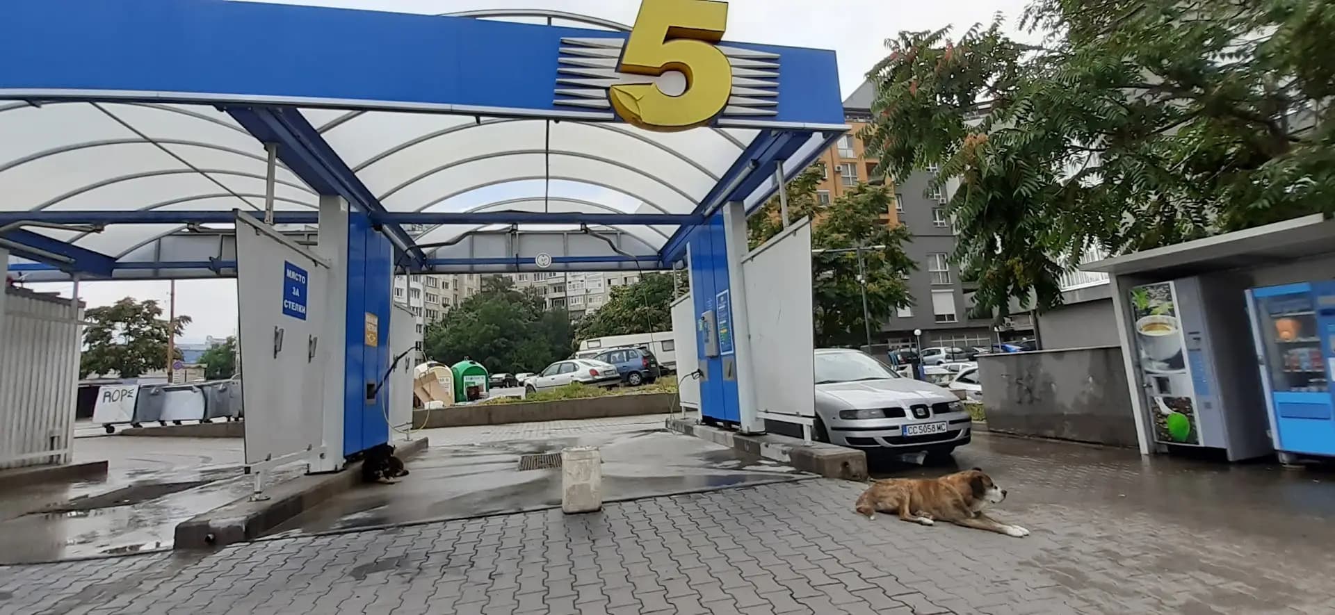 5 Минути