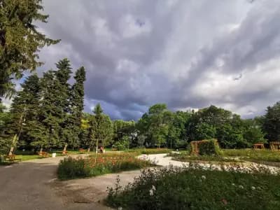 Розариум