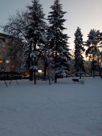 Американското пазарче
