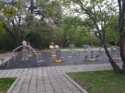 Стрийт фитнес