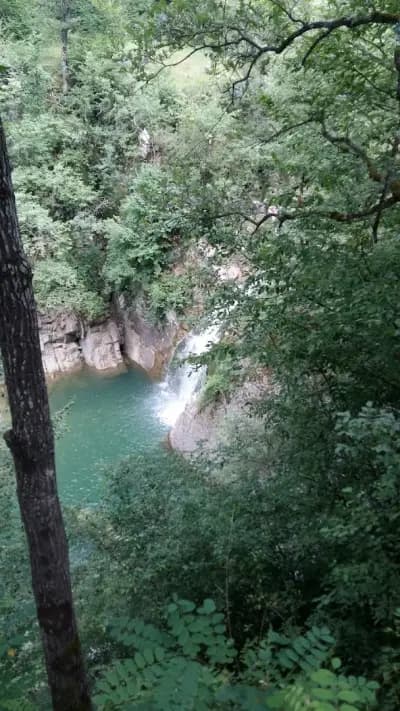 Кметство Калейца