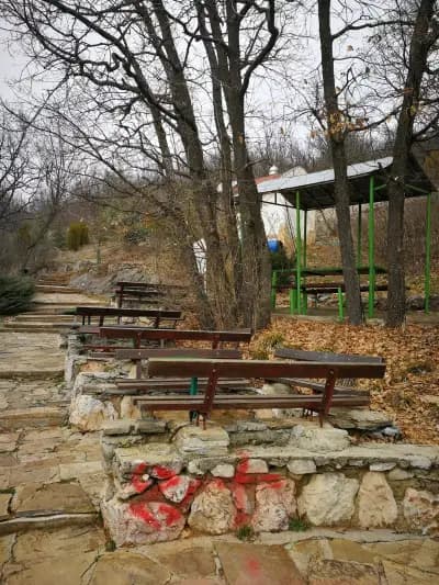 Богородична стъпка