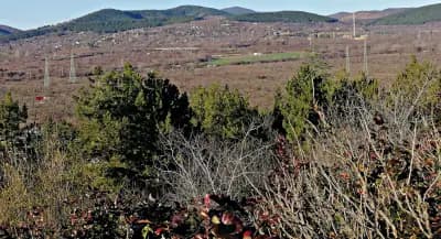 Самарско знаме