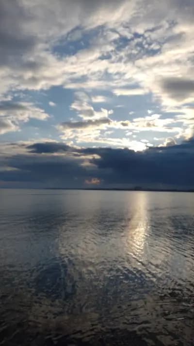 Поморие кораб Оркинос