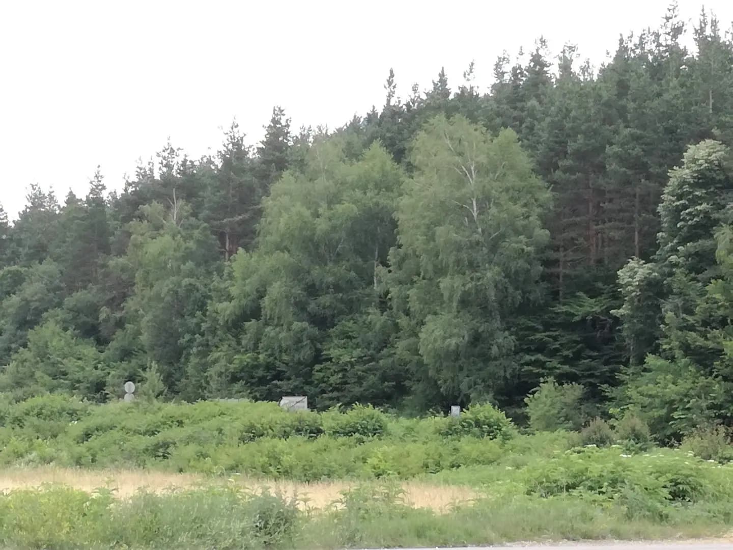 Джамия Зелена морава