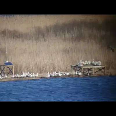 Почивен Дом Сребърна семеен хотел Люба