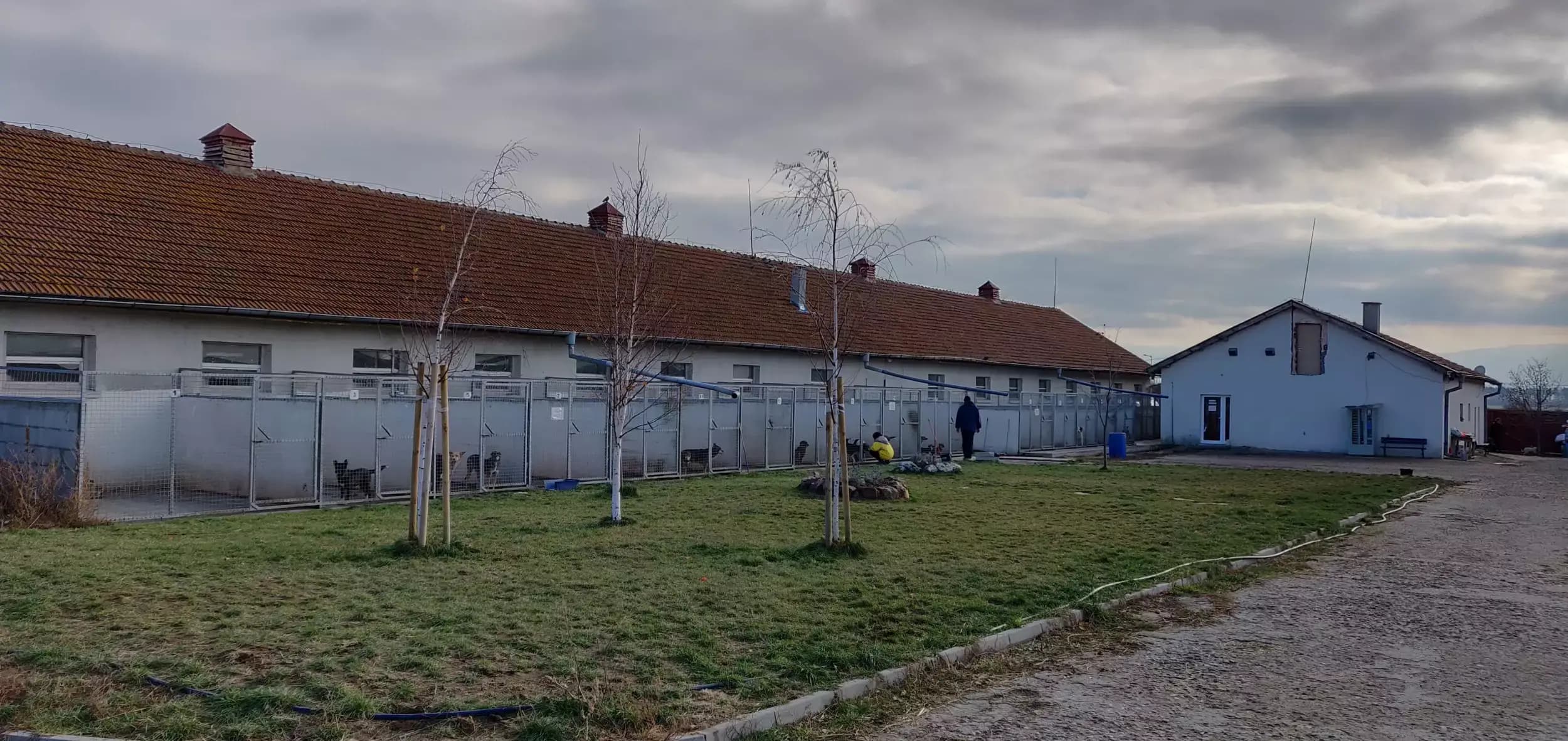 Animal Rescue Sofia