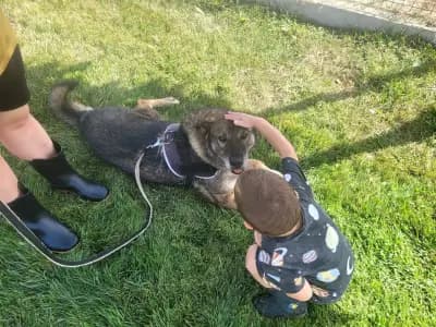 Animal Rescue Sofia