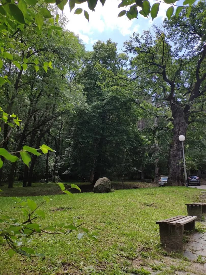 Парк Княжево