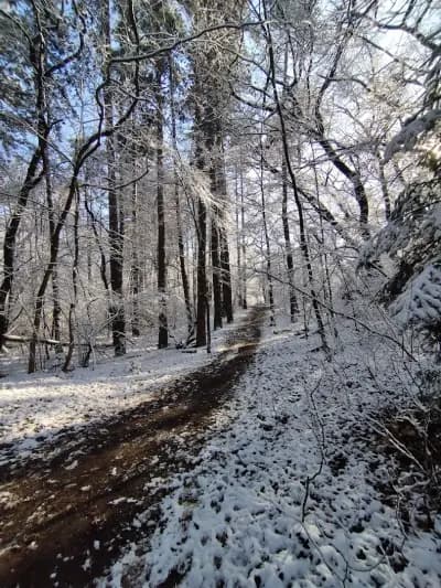 Loven park