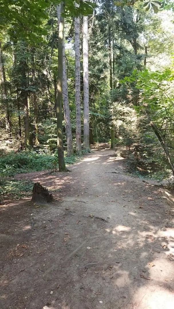 Loven park