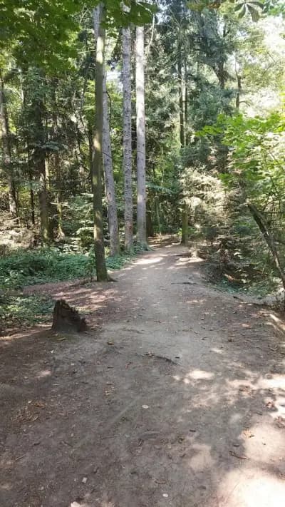 Loven park