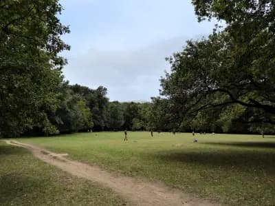 Loven park