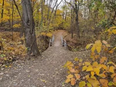 Loven park