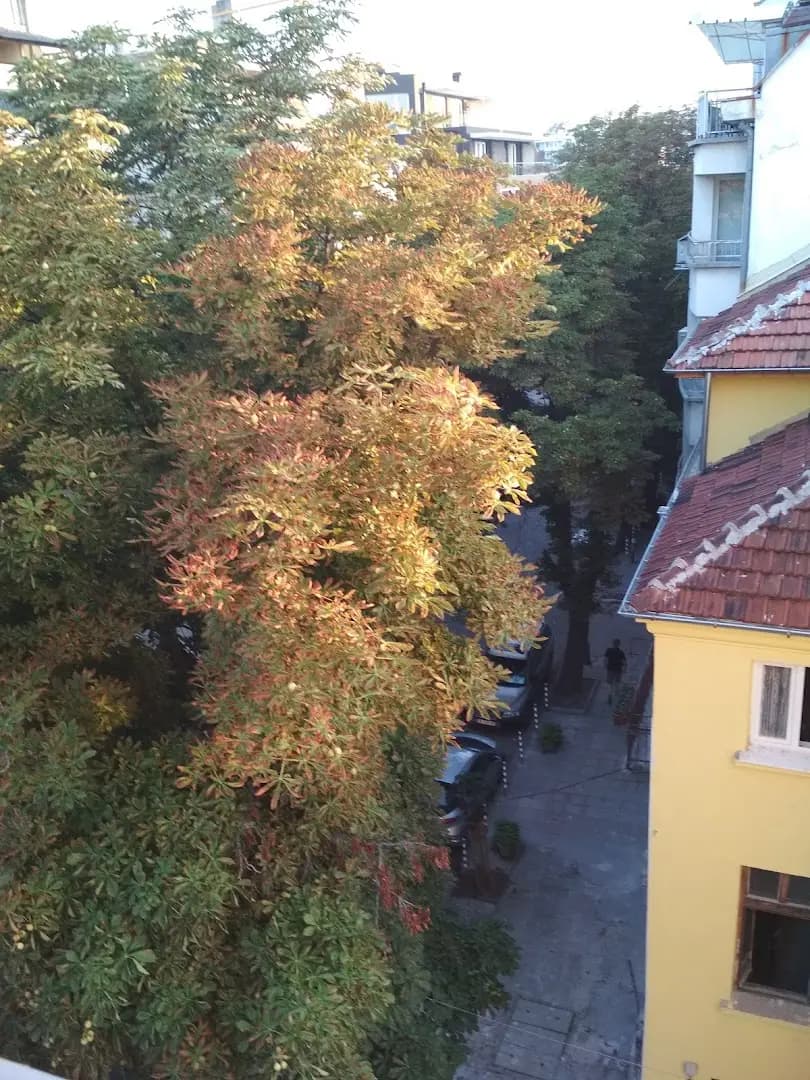 Benita Inn apartments