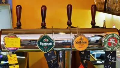 СБИРКА // SBEERKA SOFIA