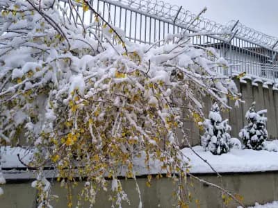 Посолство на Руската Федерация (Консулски отдел)