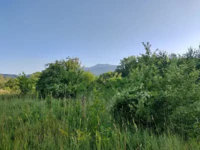 Парк "Въртопо"