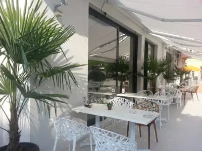 MOCCA BAR