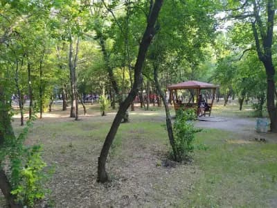 Парк Лаута