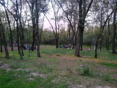 Парк Лаута